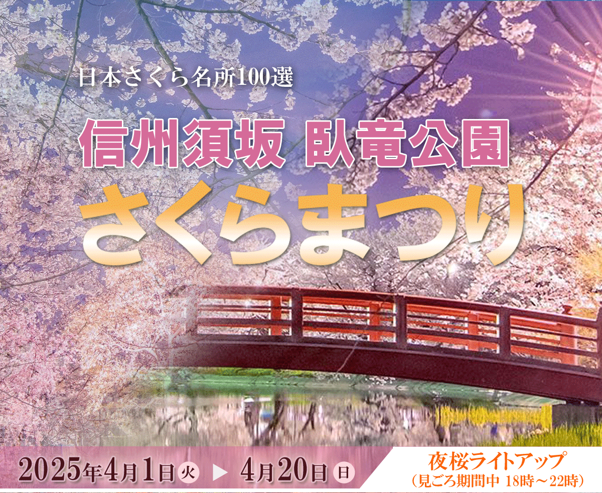 ライトアップされた臥竜公園さくらまつりの「夜桜」の写真。