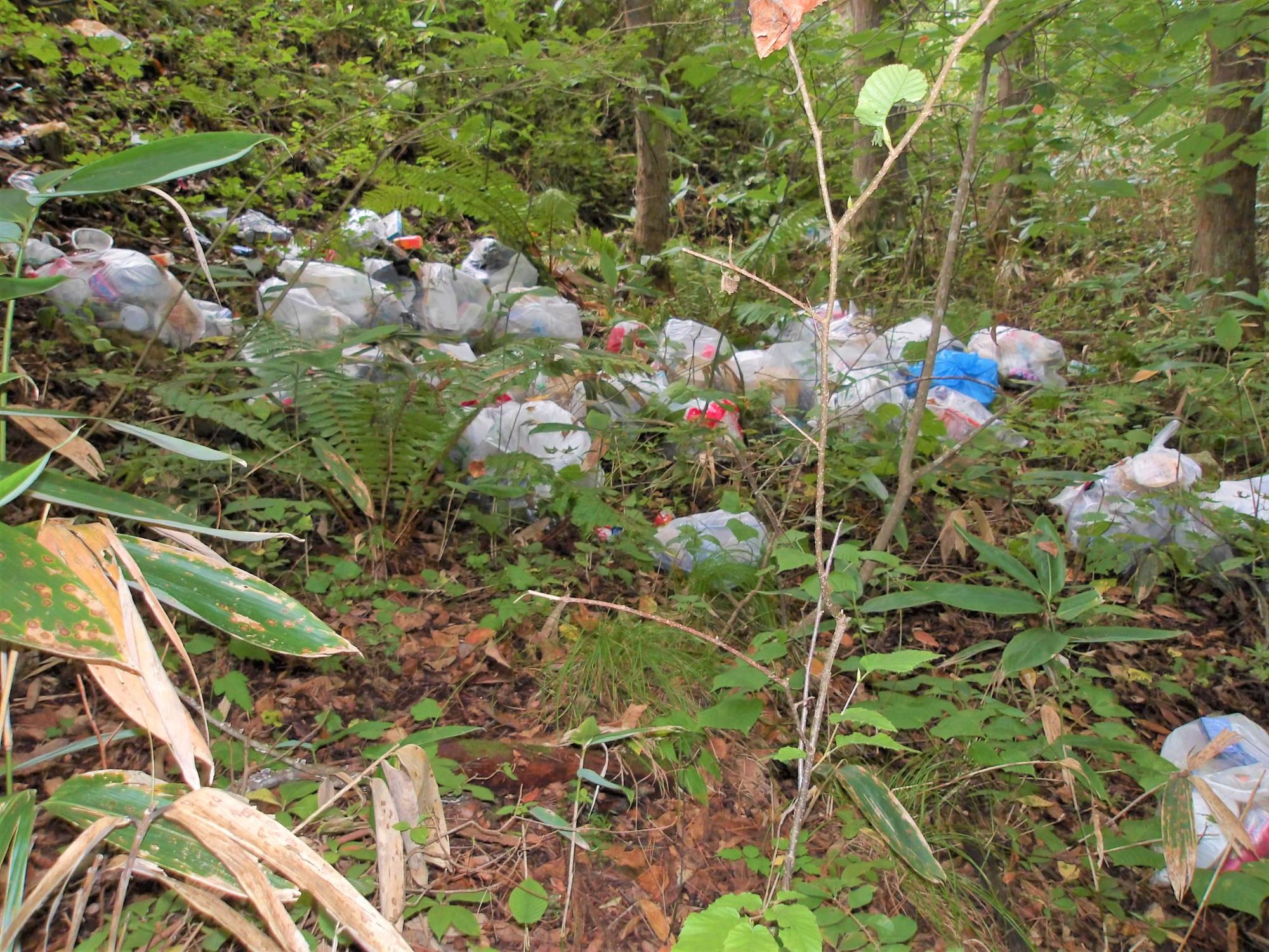 山に不法投棄された家庭ごみ