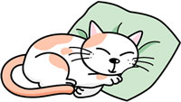 室内で寝ている様子の猫のイラスト