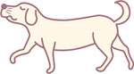歩く犬のイラスト