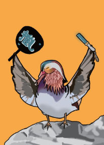 「オシドリだ これが私の 推し鳥だ」の取り札