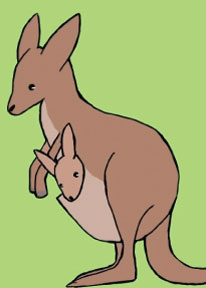 「赤ちゃんが ひょっこり顔だし カンガルー」の取り札