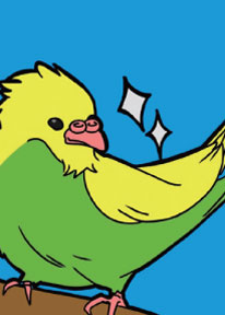 「セキセイインコ 個性的だね かがやく羽」の取り札