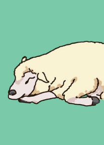 「のんびりと もふもふきもちよさそうな ヒツジさん」の取り札