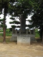 背の高い木々に囲まれた関山国師誕生地碑の写真