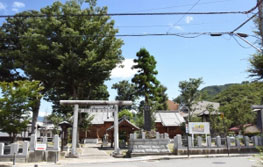 多くの樹木が植えられ、鳥居が正面にある奥田神社を敷地の外から撮った写真
