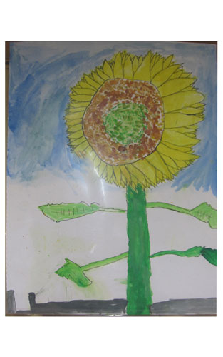 白と青で描いた青空と下半分が白色で塗られた背景に、太い茎の左右に2枚ずつ葉がつき、画用紙の上半分にひまわりの花を描いた図画の作品