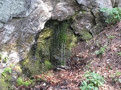 岩盤の割れ目から湧き出している豊丘のあなみずの写真