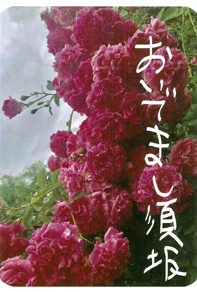おいでまし須坂と書かれ、満開の濃ゆいピンク色のバラの写真のポストカード