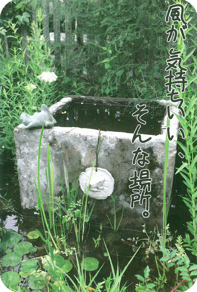 風が気持ちいい、そんな場所と書かれ、緑の水草に囲まれ水の中に四角の石造りでできた入れ物の中に水がたまり、淵に蛙の石像が仰向けで寝ている写真のポストカード