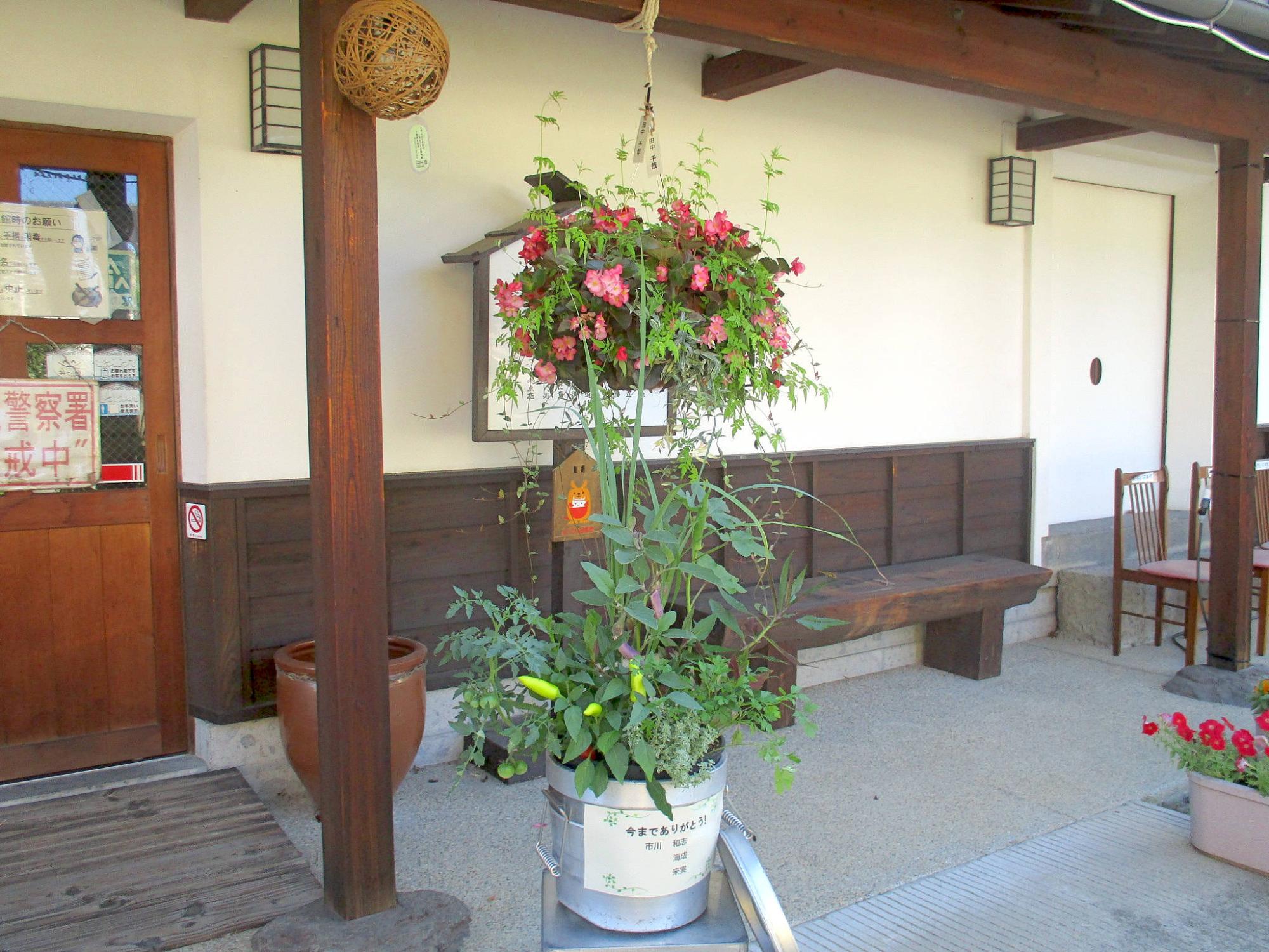 高低差のある緑の葉をバランス良く鉢植えされたコンテナガーデニング作品の写真