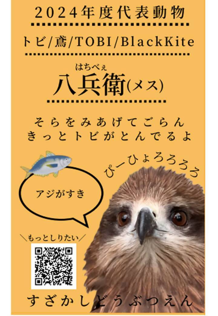 2024年度代表動物トビの八兵衛の名刺カード