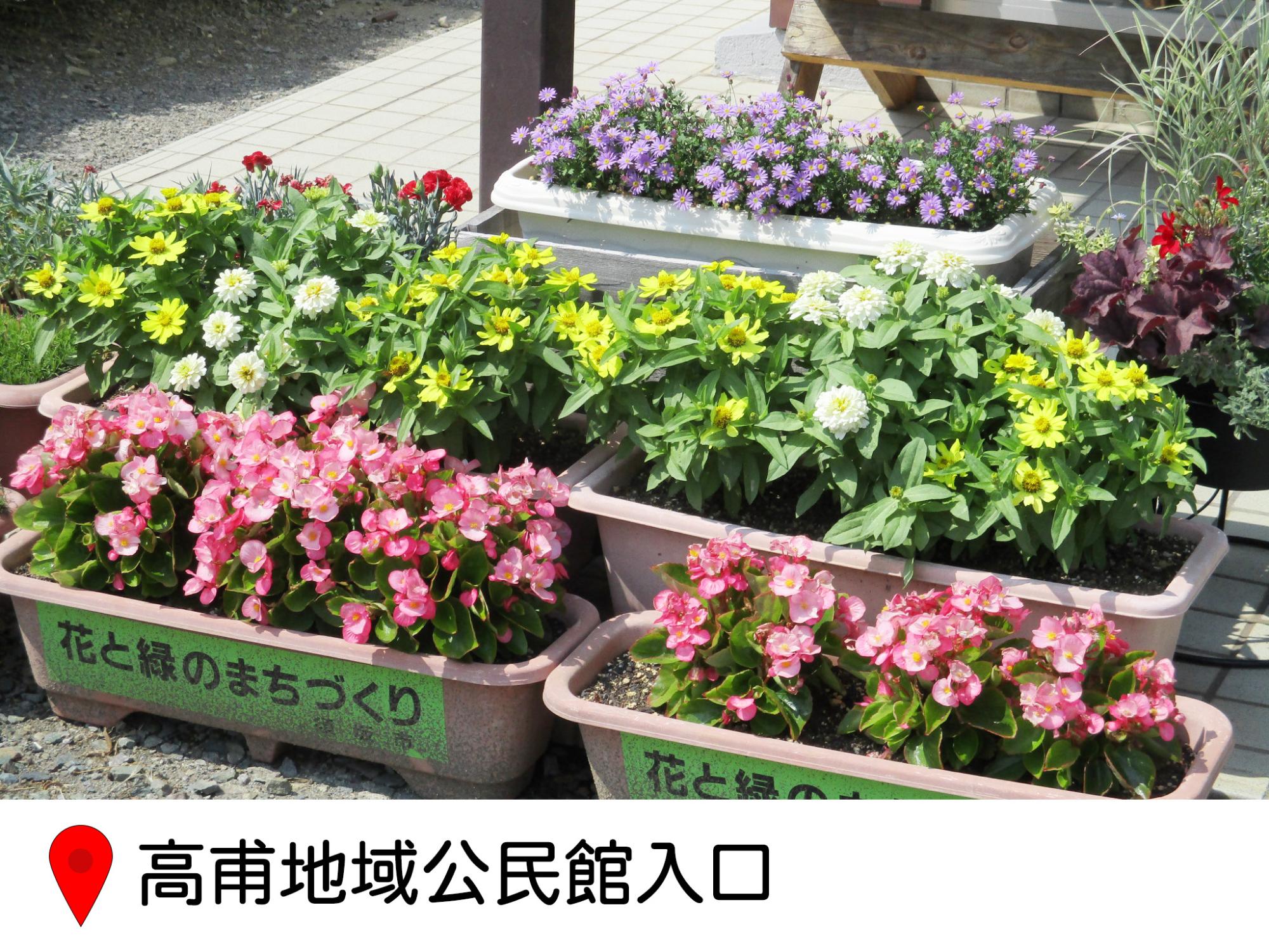 色とりどりの花が咲くプランタがいくつも並んでいる写真。場所はたかほ地域公民館入り口