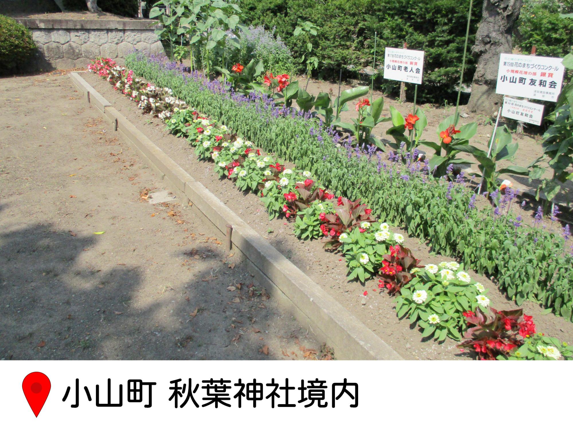 小山町の秋葉神社境内の花壇写真。細長い花壇にカンナなどがきれいに植えられている写真。