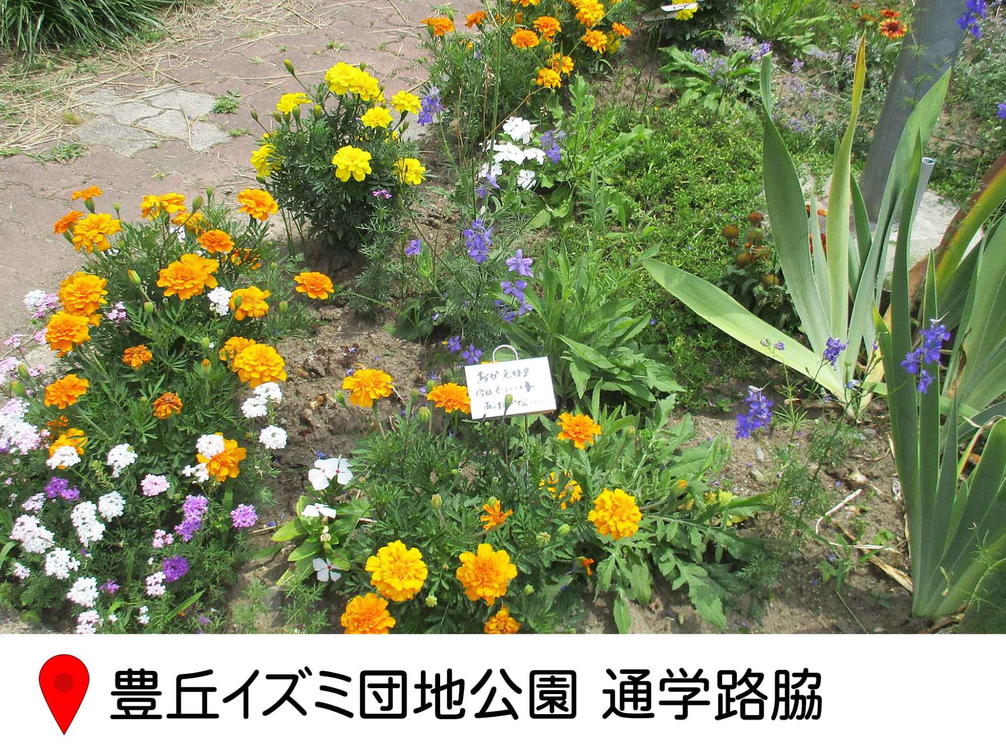 豊丘イズミ団地公園の通学路脇の花壇の写真。小さい長方形型の花壇にいろんな花が植えられている。花壇の真ん中にプレートで「おかえりなさい」とかかれている。