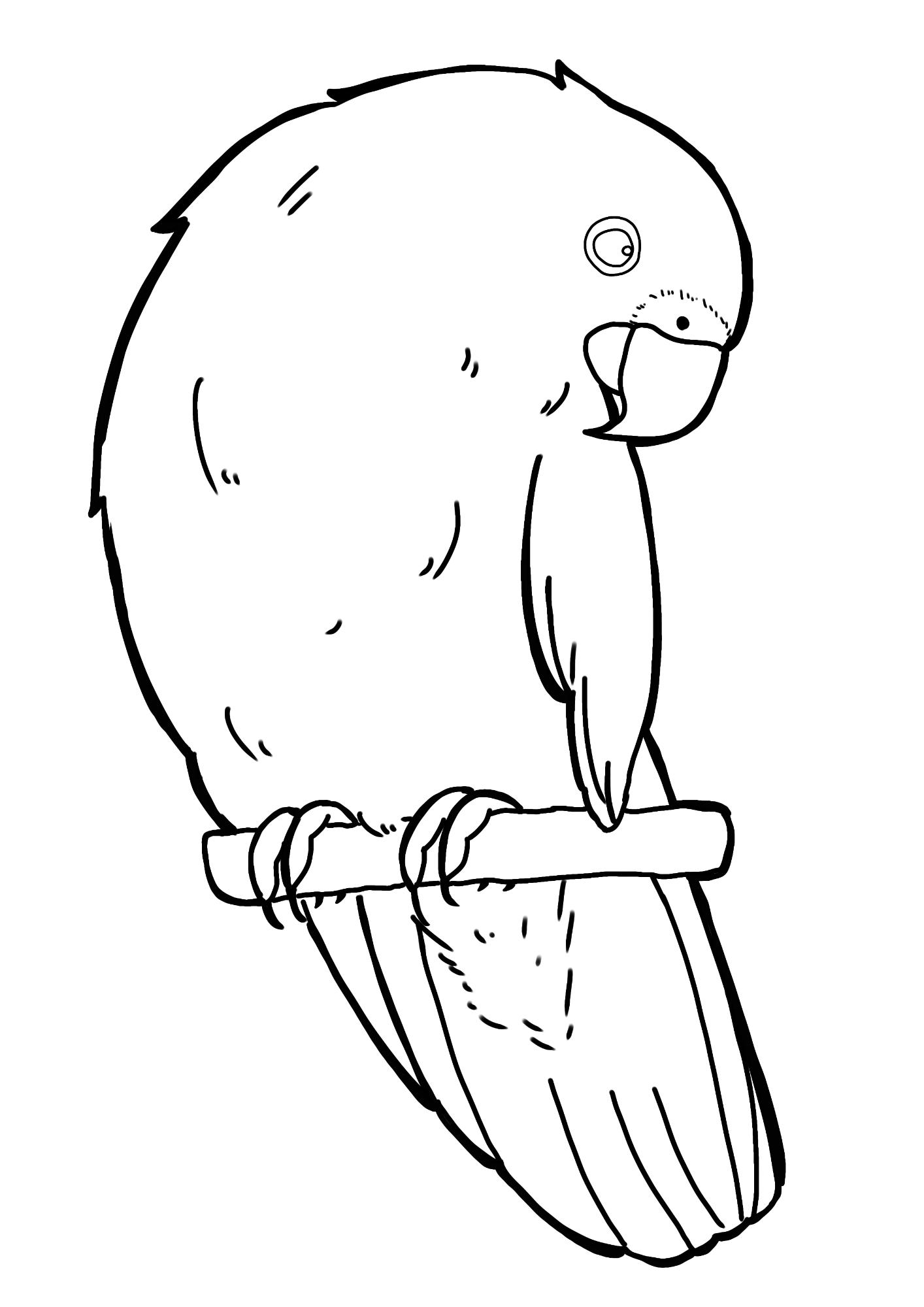 ルリコンゴウインコの白黒イラスト