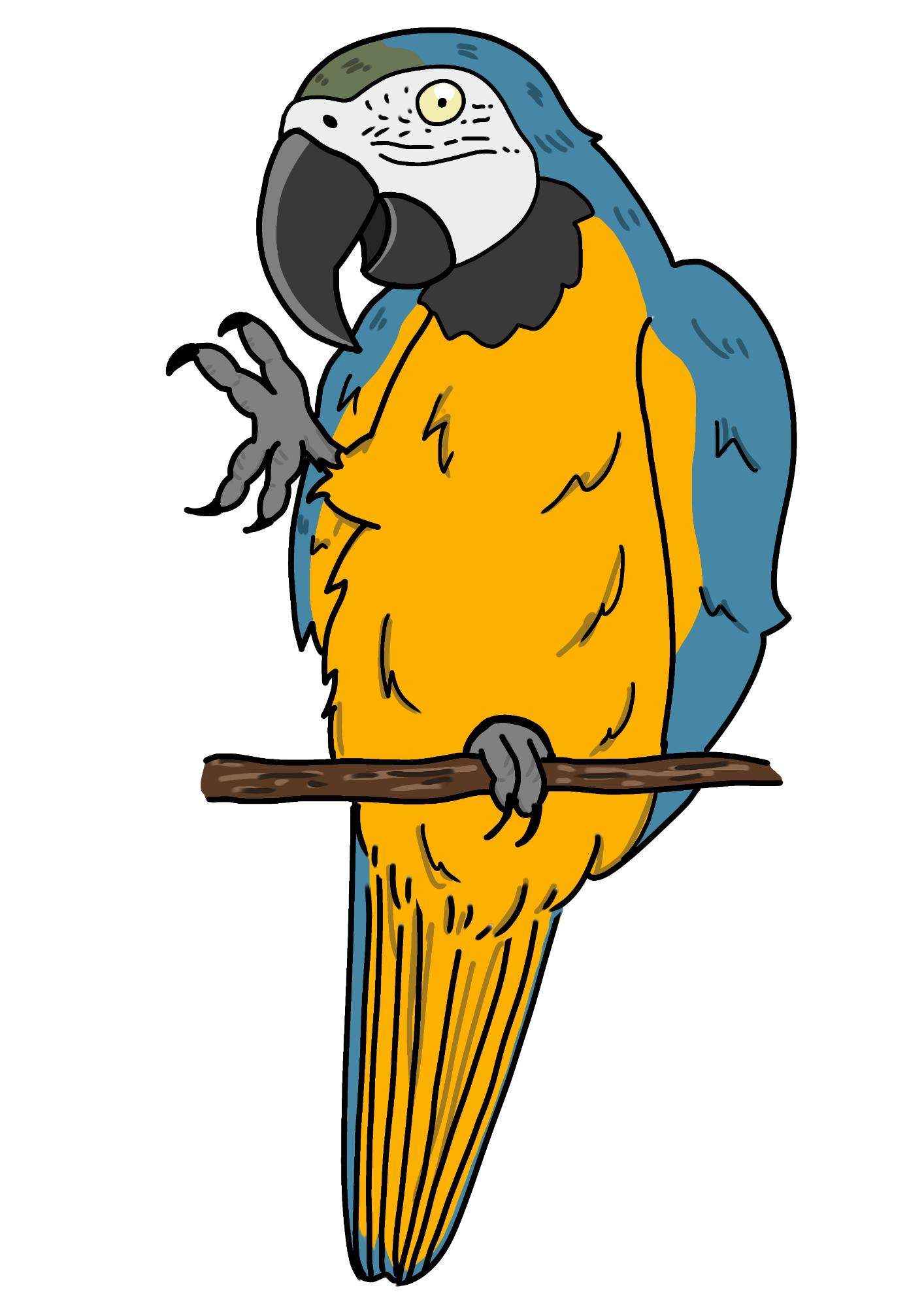 ルリコンゴウインコのカラーイラスト