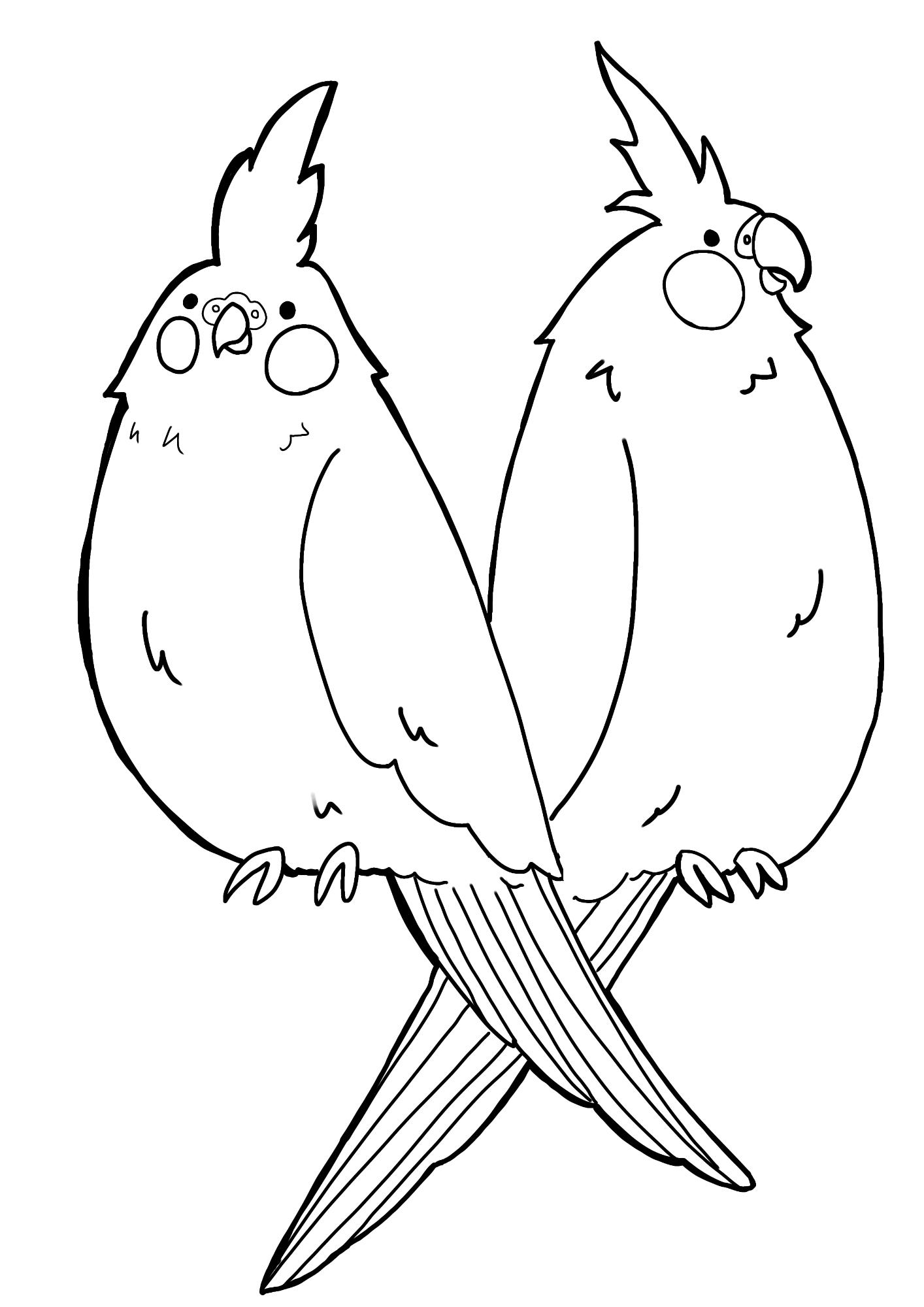 オカメインコが二羽並んでいる白黒画像