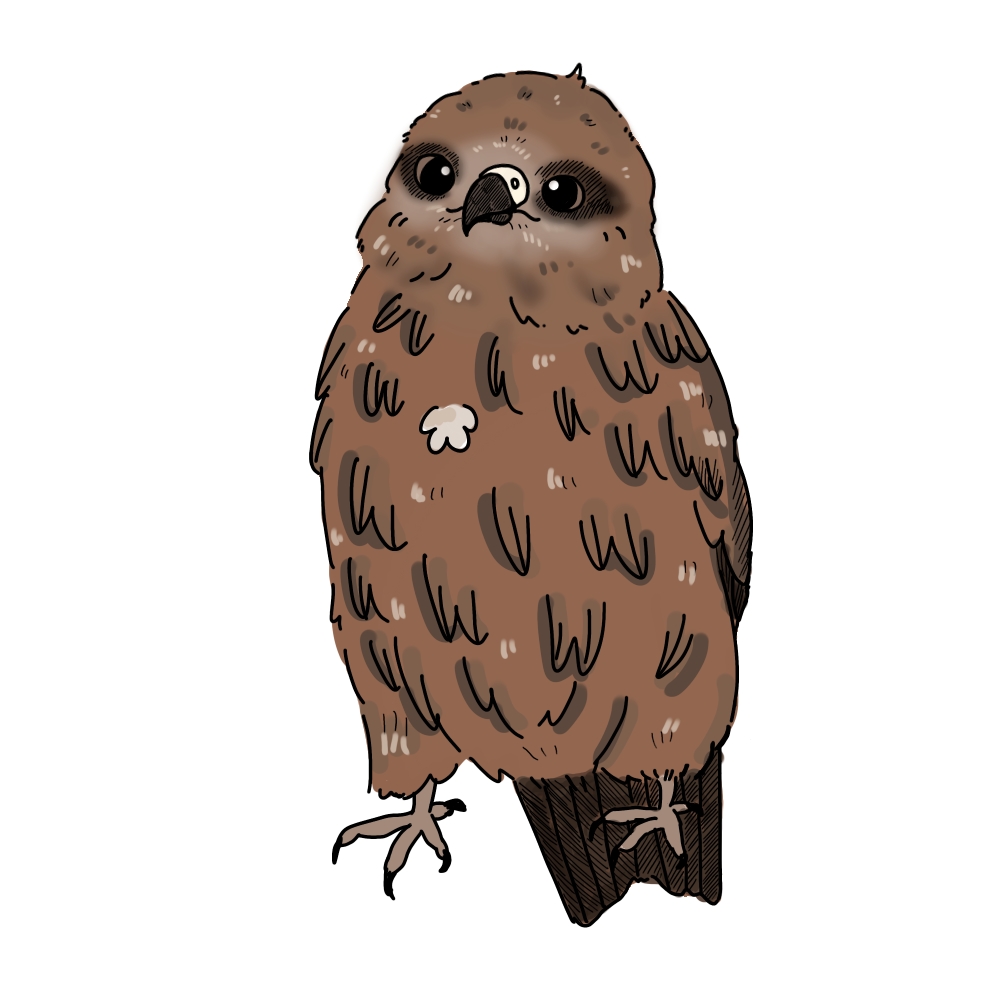 トビの「八兵衛」カラーイラスト