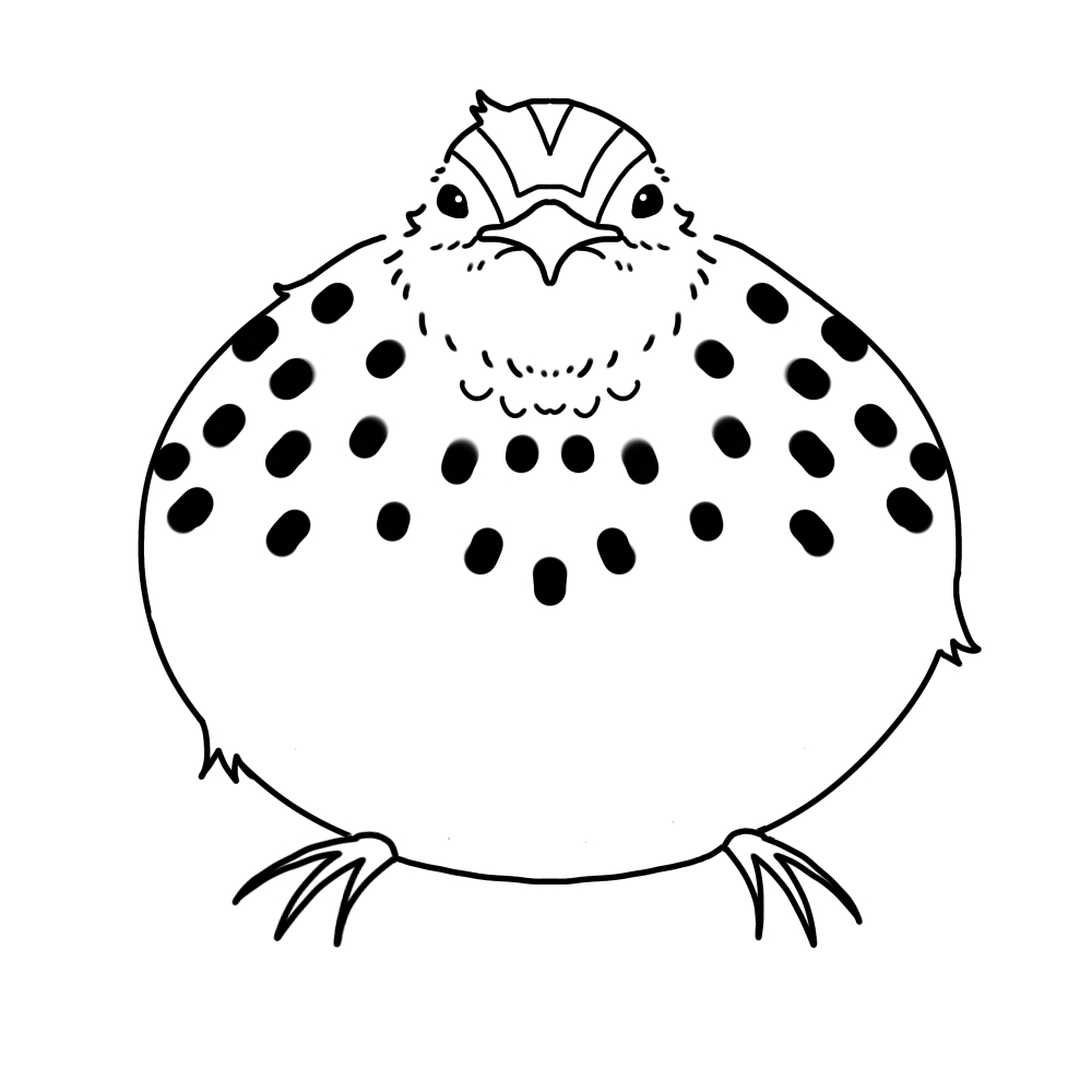 うずらを正面からみた白黒のイラスト