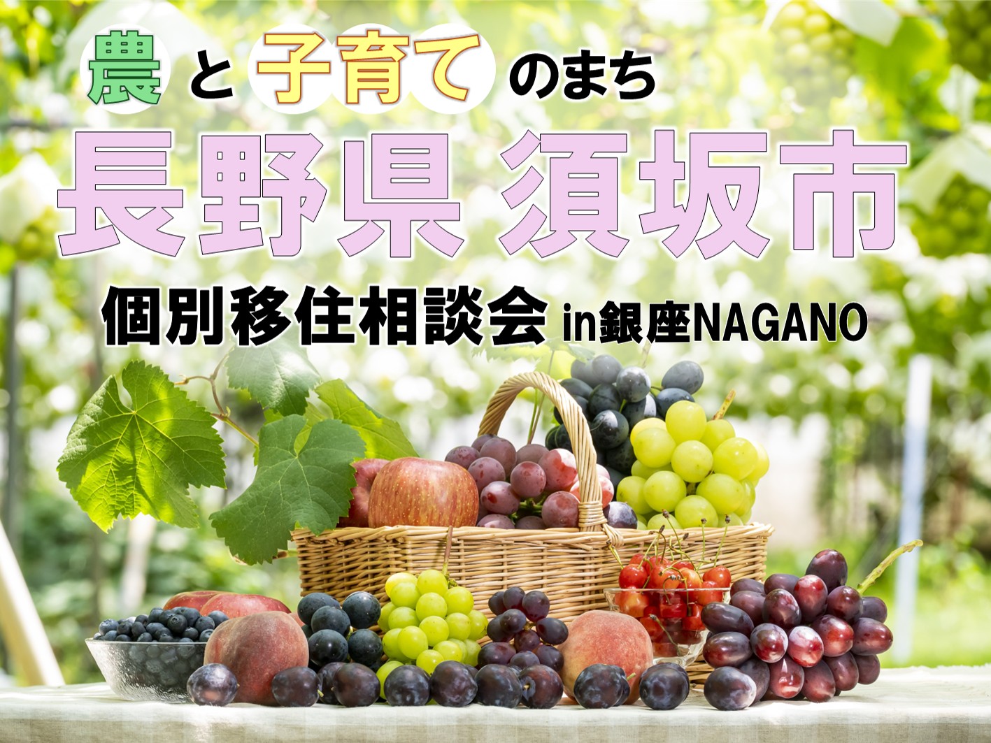 銀座NAGANO個別移住相談会イメージ画像