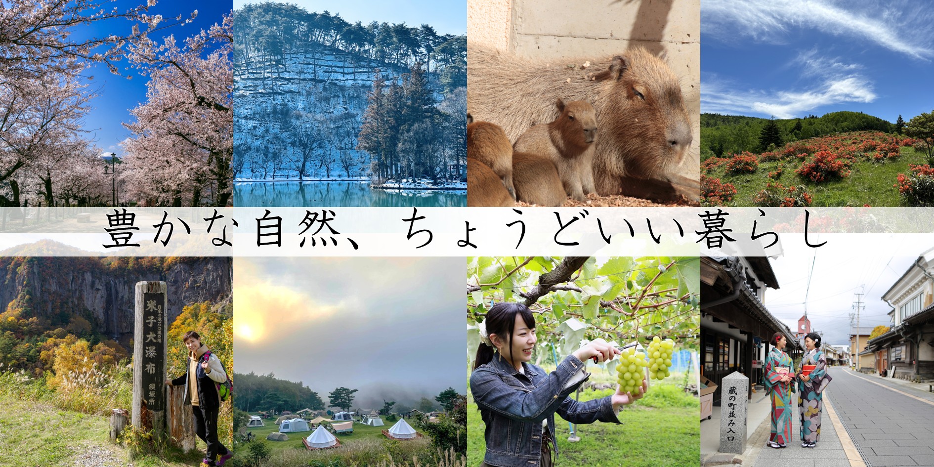 銀座NAGANO個別移住相談会サブ画像1