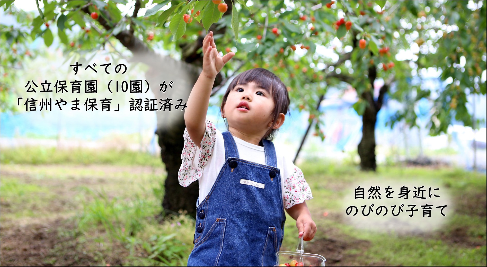 銀座NAGANO個別移住相談会サブ画像2