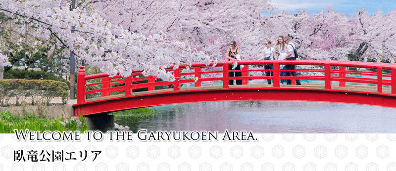 臥竜公園エリアトップ画像。満開の桜、外国人旅行者が臥竜公園の竜ケ池の弁天島にかかる赤い橋の上から水面に映る桜をのぞき込む写真