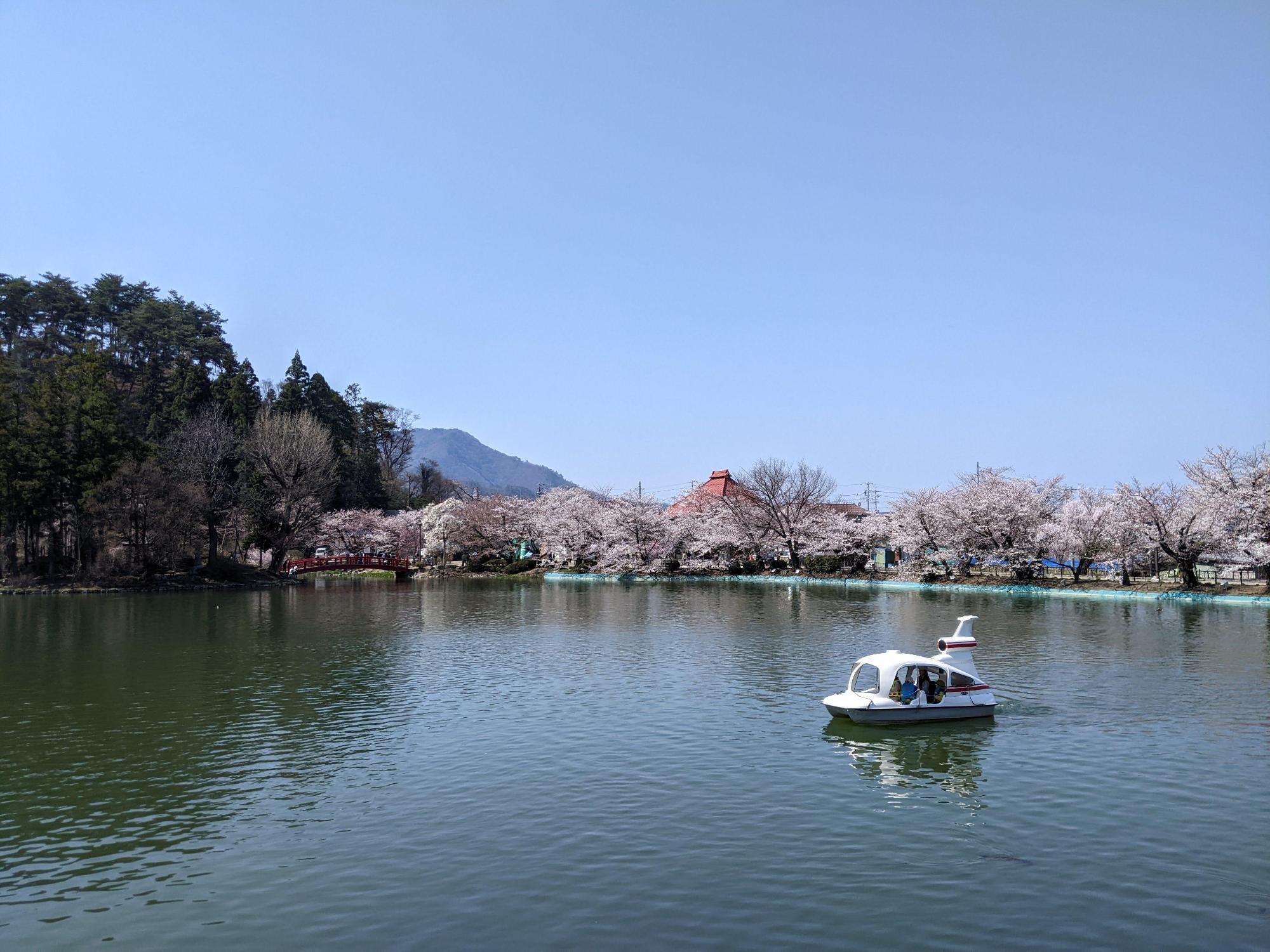 臥竜公園の竜ケ池の写真。宇宙船型のペダルボートが浮かび、岸には桜が満開。奥には弁展島にかかる赤い橋が見える。