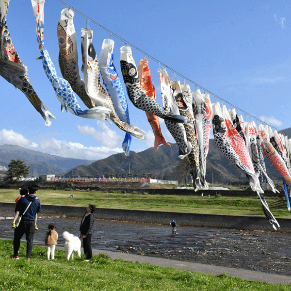 百々川の上空をおよぐ無数の鯉のぼりと、それを眺める家族と犬。