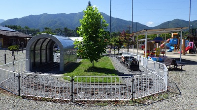 動物園南園バッテリーカーデコイチ写真