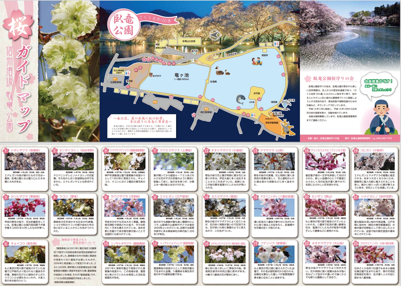 臥竜公園に植えられている桜の品種と、場所の一覧図。臥竜公園に植えられている23種の桜が写真と解説つきで掲載。