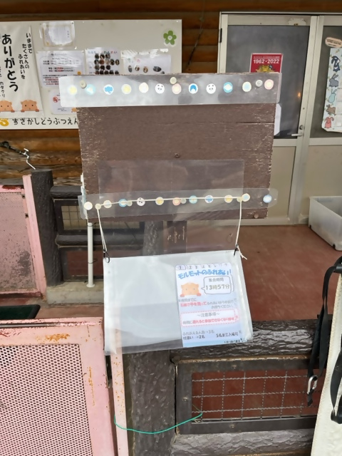 整理ホルダーに整理券が入っている写真