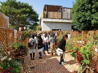 青い空の下ラティスフェンスに囲まれた展示場のプランターの花々を見る大学生たちの写真
