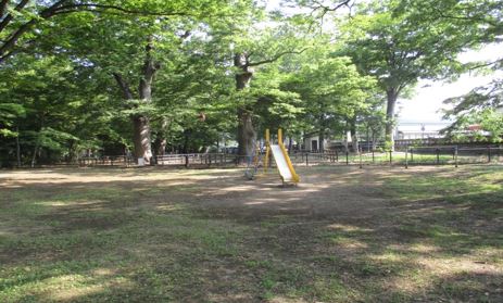 自然に囲まれた中央に黄色の滑り台があり、公園全体に綺麗な木漏れ日があたっている八幡公園の写真