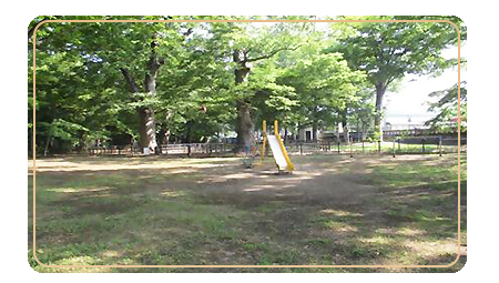 自然に囲まれた中央に黄色の滑り台があり、公園全体に綺麗な木漏れ日があたっている八幡公園の写真