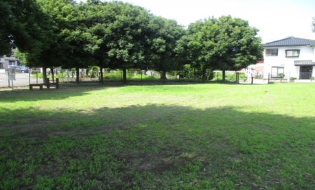 右奥に民家があり、左奥に公園に沿うように木が並んではえている八木沢公園の写真