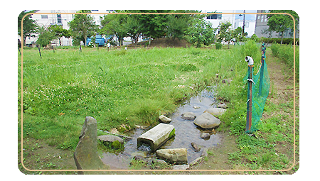 インター須坂流通産業団地公園、通称「井上ビオトープ」の写真。広いし芝生、園内を流れる浅い小川、木陰を作る木々、広々としている。