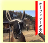 オープンデータ賞:黒の顔に白いラインが入ったラマが耳をピンと立てている写真