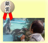 銀賞:ペンギンと幼い子どもがガラス越しに見つめあっている写真