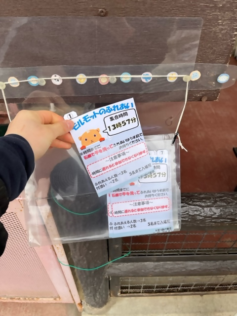 整理ホルダーから整理券を取り出している手元を撮った写真