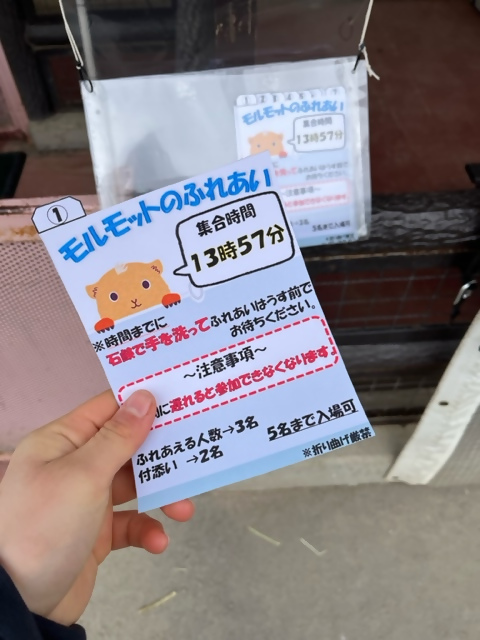 「モルモットのふれあい」と書かれた整理券を持っている手元を近くから撮った写真