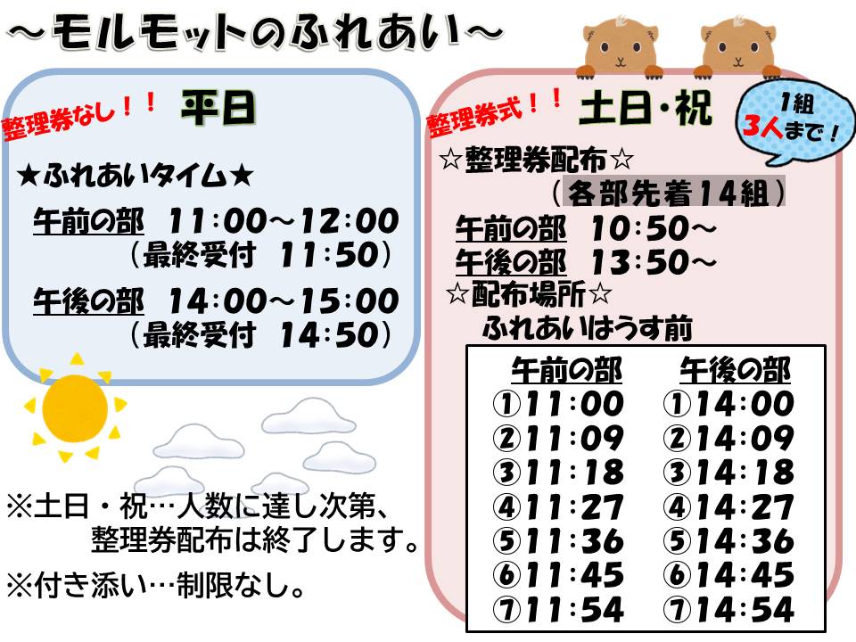 モルモットのふれあいの利用時間や整理券配布の詳細が記載された画像
