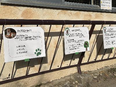 動物園にあるクイズの画像