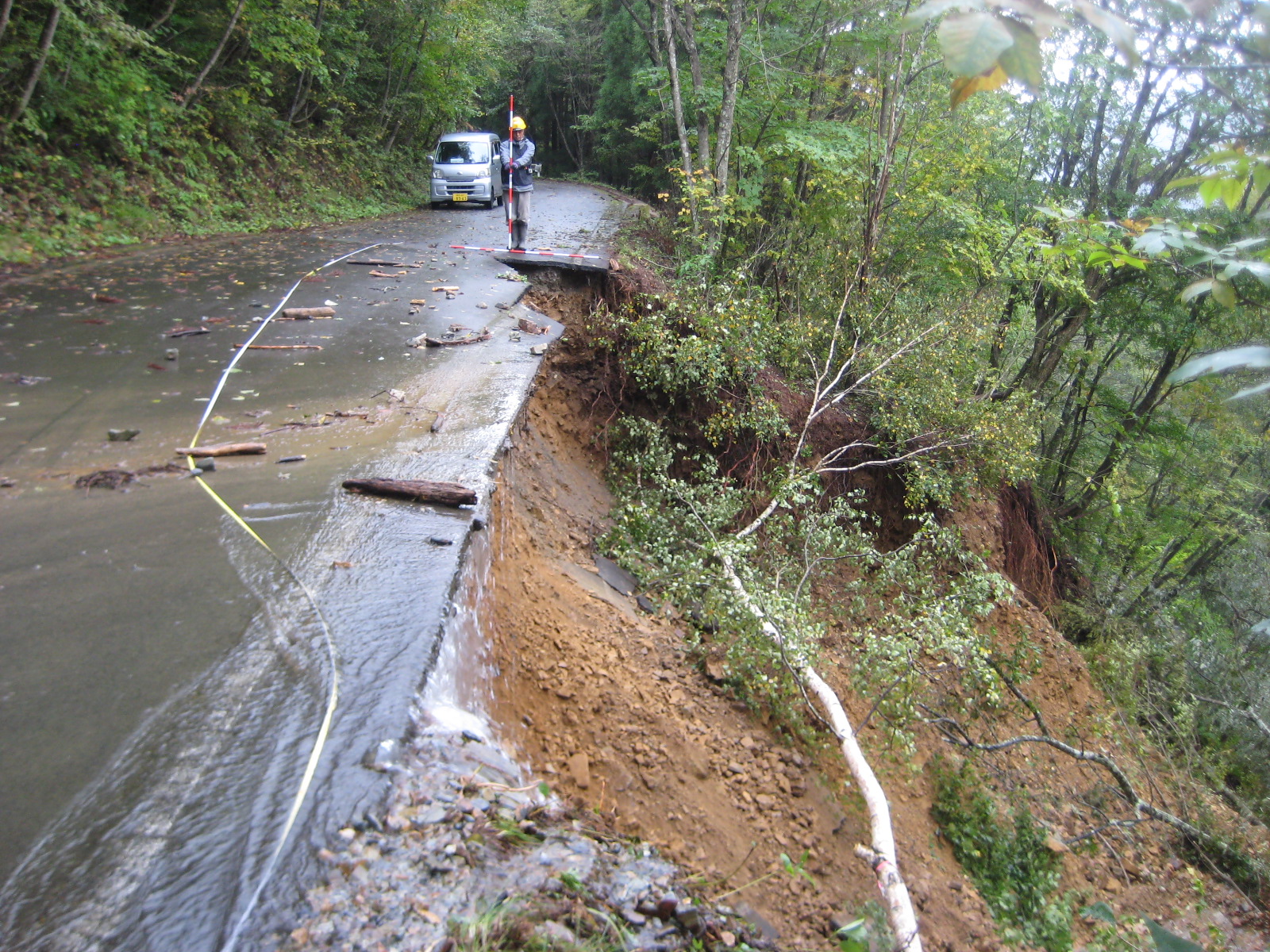 山沿いの道路脇が地滑りし木々も倒れている様子の写真