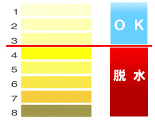 尿の色で脱水状態をチェック!の図