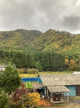平屋の建物の後ろに畑や木々、山が広がっている様子の写真