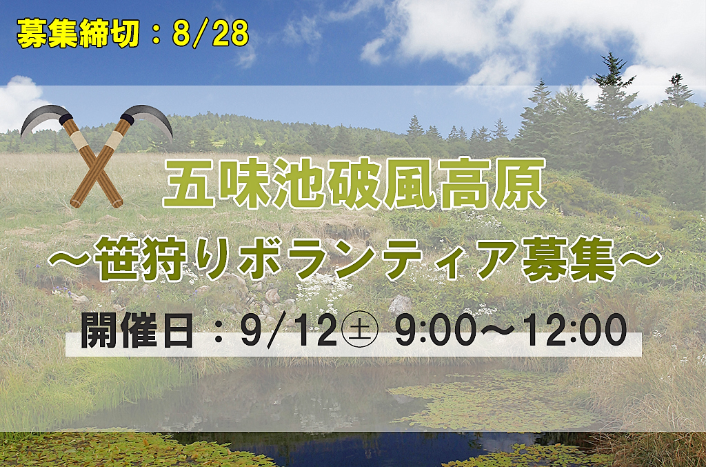 五味池破風高原笹狩りボランティア募集の画像。