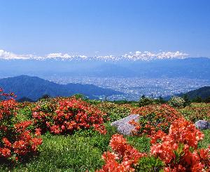 五味池破風高原の風景