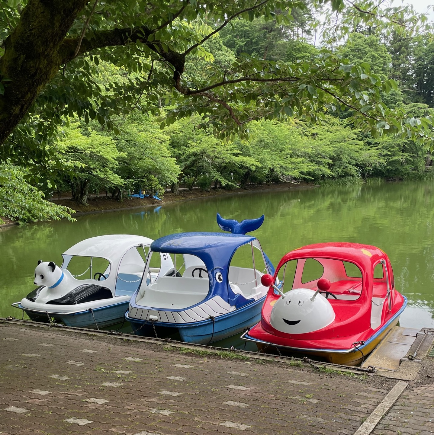臥竜公園の池にあるボートが3艘、左からパンダ型、クジラ型、触覚のあるキャラクター型